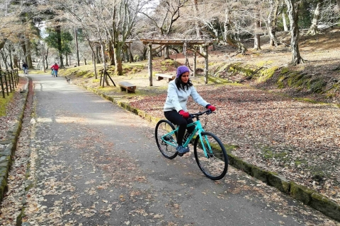 Nara: privé-fietstocht door Nara Park met lunchMet Japanse lunch