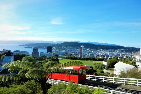 Wellington : Billet aller-retour pour le téléphérique