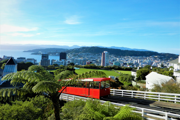 Wellington: biglietto di andata e ritorno in funivia