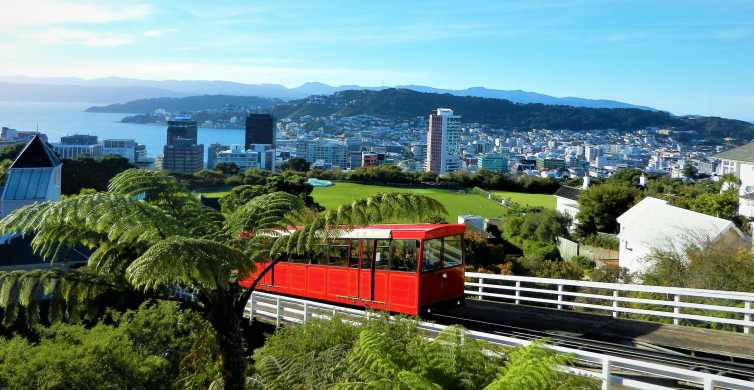 Wellington Return Cable Car Ticket GetYourGuide