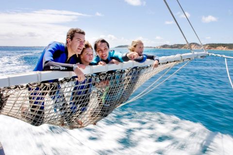 Queenscliff: tour di snorkeling con i delfini e le foche