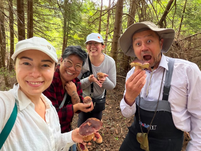 Sofia: Mushroom Foraging & Wild Food Experience with Dobrin
