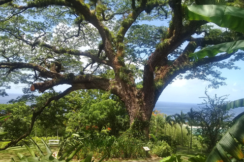 Visite panoramique des monuments (Brimstone Hill et Batik)Saint-Kitts-et-Nevis: visite panoramique de la forteresse de Brimstone Hill