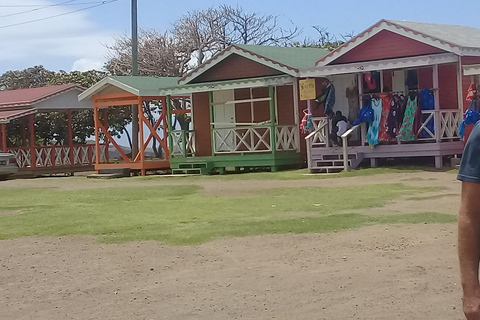 St. Kitts Island Halvdagsbusstur