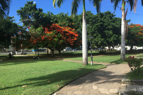 Excursão de ônibus de meio dia pela Ilha de São Cristóvão