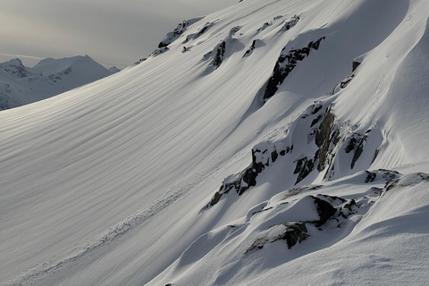 Tromsø: Ski/Randonnee Guided Tour Private tour