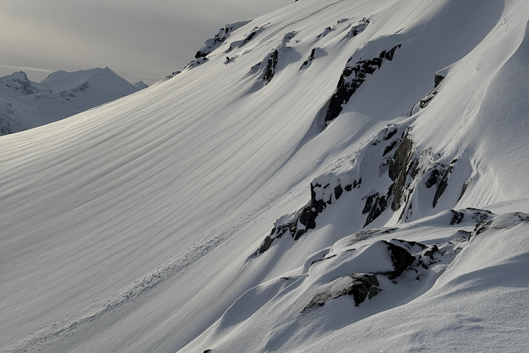 Tromsø: Ski/Randonnee Guided Tour Private tour