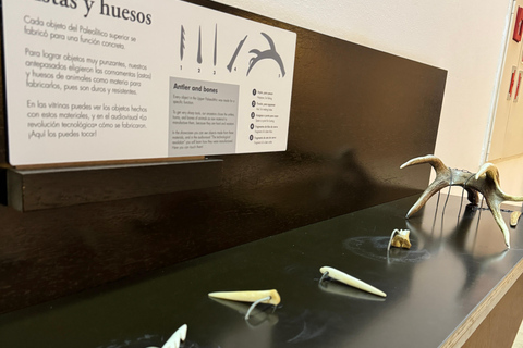 Excursion: Neocueva de Altamira | Santillana del Mar | Comillas Excursion: Altamira Cave | Santillana del Mar | Comillas