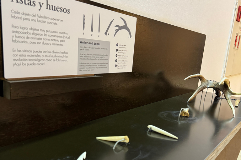 Excursion: Neocueva de Altamira | Santillana del Mar | Comillas Excursion: Altamira Cave | Santillana del Mar | Comillas