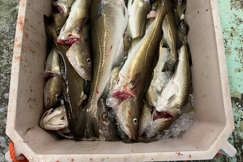 Hauganes: Baccala Factory Tour with Shark tasting