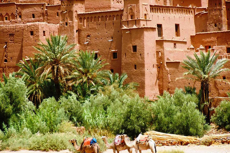 Day Trip to Ait Benhaddou and Ouarzazate