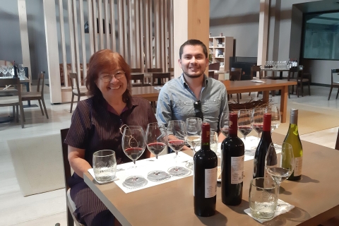 Santiago: Główne chilijskie winiarnie Prywatne wycieczki półdniowePrywatna winiarnia Santa Rita na pół dnia