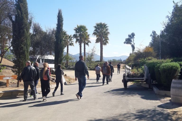 Santiago: Chileense hoofdwijnhuizen privérondleidingen van een halve dagPrivé wijnmakerij van halve dag in Santa Rita