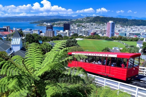 Wellington: bilet powrotny na kolejkę linowąBilet powrotny