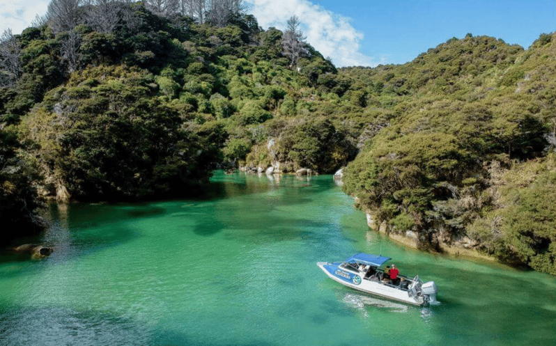 Parque Nacional Abel Tasman Crucero Ecologico De Dia Completo Por La Costa Sagrada Marahau Nueva Zelanda Getyourguide