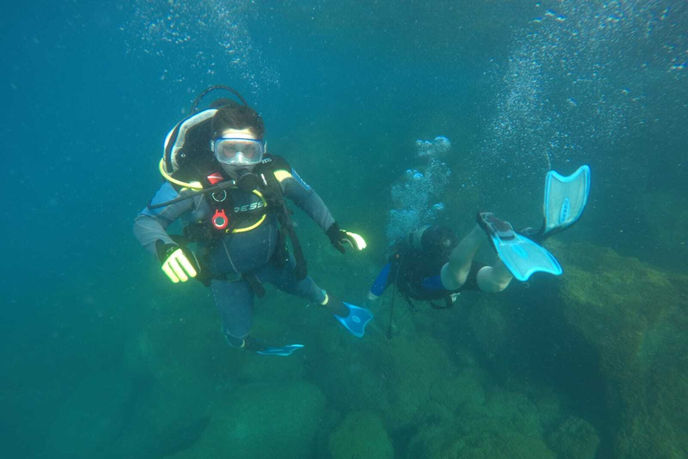 Salou: Scuba Diving for Beginners