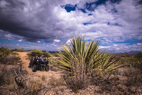 Sonorawoestijn: begeleid UTV-avontuur van 2 uur4-persoons UTV