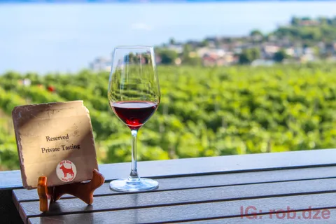 West Kelowna: Afternoon Sightseeing and Wine Tour