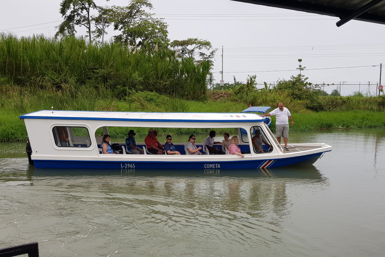 Puerto Limón: Passeio de meio dia pelos canais de Tortuguero e Playa BonitaKreuzfahrtpassagiere, em Puerto Limon ankommend (Deutsch)