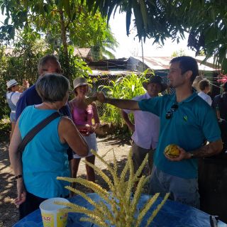 Puerto Limon: Halbtagestour durch die Tortuguero-Kanäle und Playa Bonita