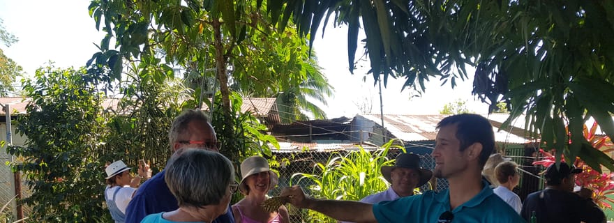 Puerto Limon : visite d'une demi-journée des canaux de Tortuguero et de Playa Bonita