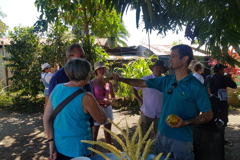 Puerto Limón: Passeio de meio dia pelos canais de Tortuguero e Playa BonitaKreuzfahrtpassagiere, em Puerto Limon ankommend (Deutsch)