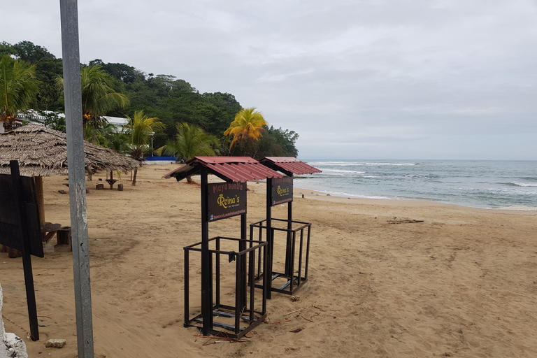 Puerto Limón: Passeio de meio dia pelos canais de Tortuguero e Playa BonitaKreuzfahrtpassagiere, em Puerto Limon ankommend (Deutsch)