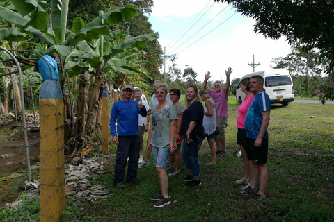 Puerto Limón: Passeio de meio dia pelos canais de Tortuguero e Playa BonitaKreuzfahrtpassagiere, em Puerto Limon ankommend (Deutsch)