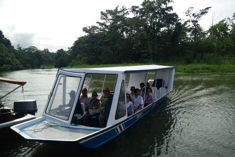 Puerto Limón: Passeio de meio dia pelos canais de Tortuguero e Playa BonitaKreuzfahrtpassagiere, em Puerto Limon ankommend (Deutsch)