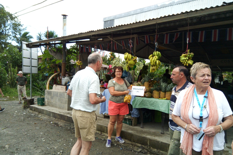 Puerto Limón: Passeio de meio dia pelos canais de Tortuguero e Playa BonitaKreuzfahrtpassagiere, em Puerto Limon ankommend (Deutsch)