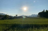 Luang Prabang, Abendkochkurs & lokale Baci-Zeremonie - Hizvo