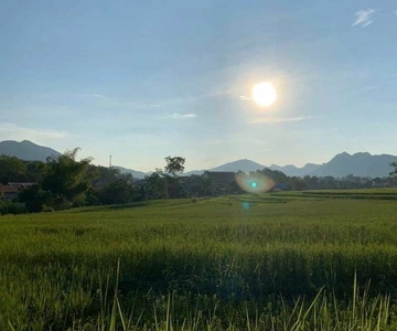 Luang Prabang: Evening Cooking Class & Local Baci Ceremony