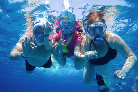 Vanuit Marsa Alam: Sataya Reef en dolfijnen hele dag boottocht