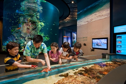 Singapur: S.E.A. Aquarium TicketS.E.A. Aquarium Standard Eintritt (GT QR Code) - PROMO