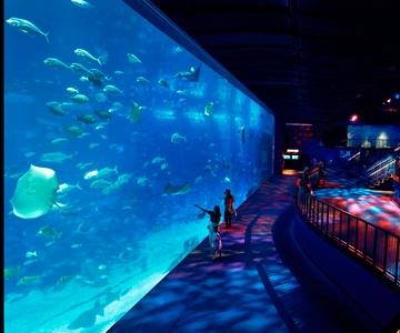 S.E.A. Aquarium Entrance Ticket