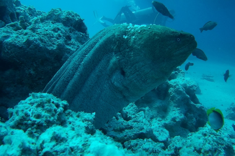 Hurghada: luxe cruisereis naar Orange Bay met lunchVan buiten Hurghada