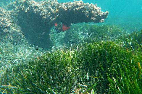 Naturparken Cabo de Gata: Guidad snorkeltur