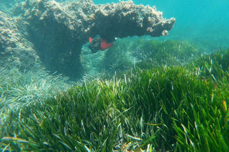 Parque Natural Cabo de Gata: Excursão Guiada de Snorkeling