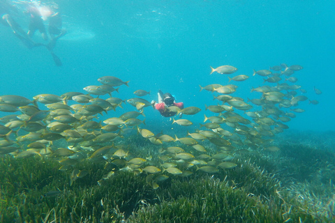 Parc naturel de Cabo de Gata : Visite guidée de snorkeling