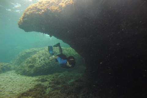 Parque Natural Cabo de Gata: Excursão Guiada de Snorkeling