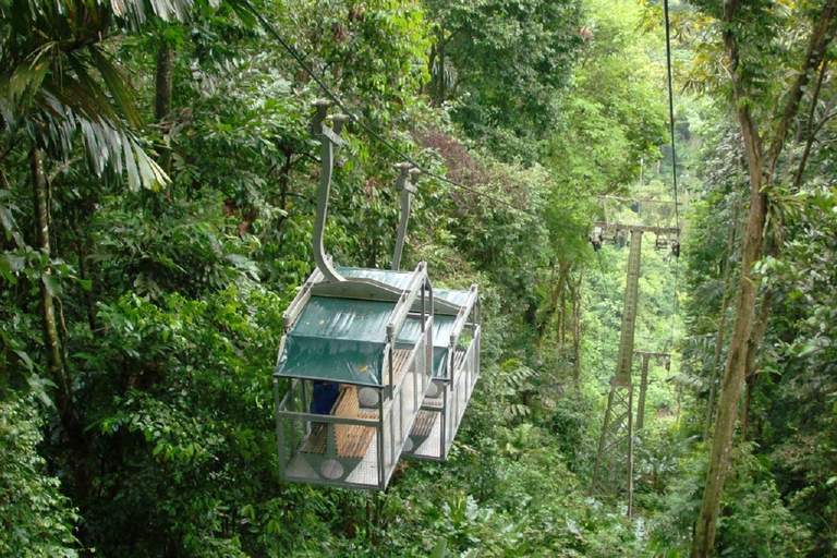 Puerto Limon: Veragua Regenwoud &amp; Tortuguero RondvaartPassagiers van cruiseschepen die aankomen in Puerto Limon - Engels