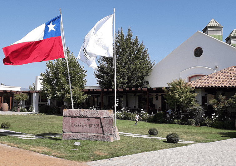 Santiago Valparaiso, Viña del Mar, & Winery Private Tour GetYourGuide