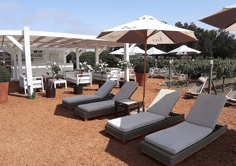 Santiago Valparaiso, Viña del Mar, & Winery Private Tour GetYourGuide