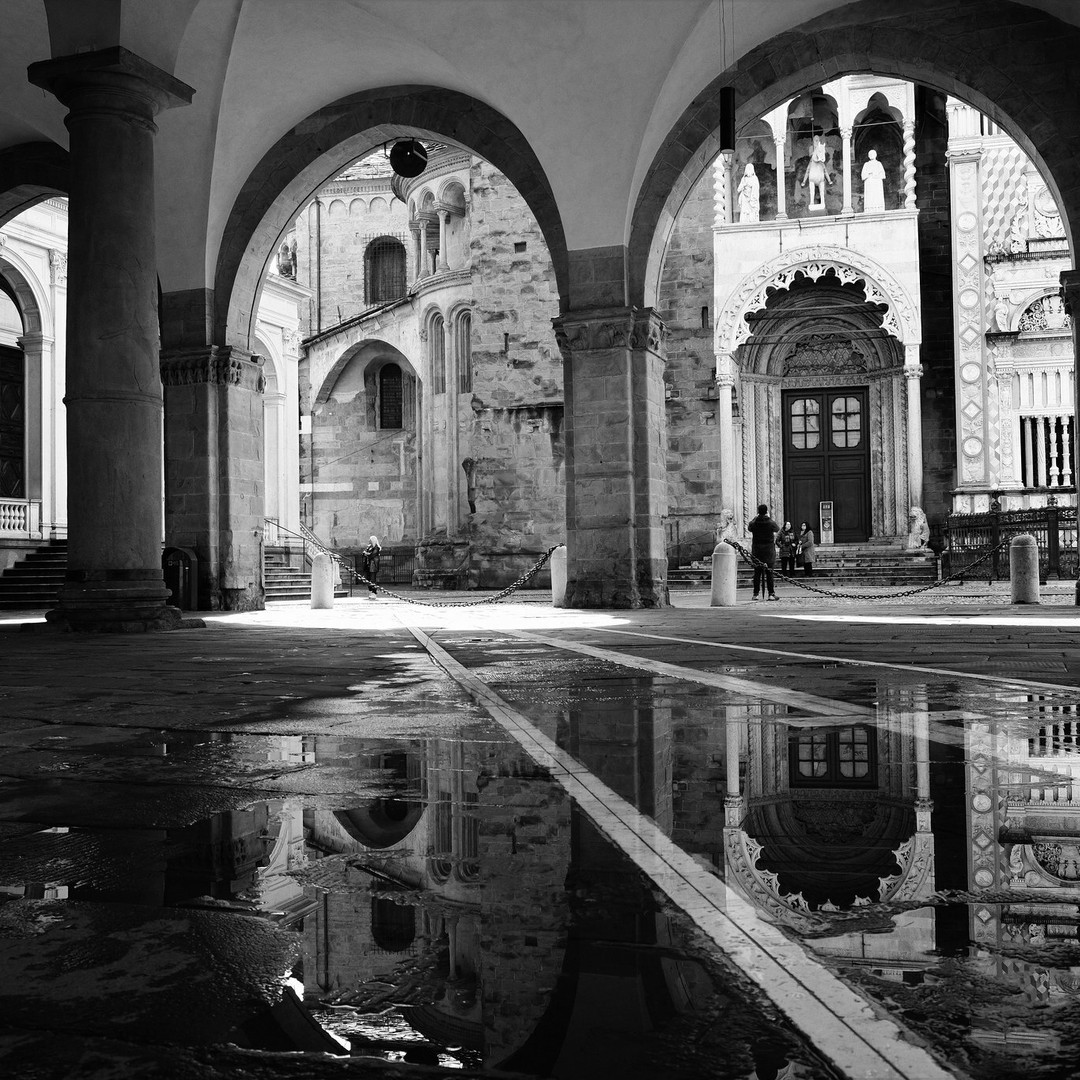 Galería de fotos para redes