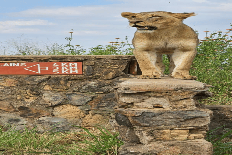 Tour di un giorno del Parco Nazionale di Nairobi e del Centro delle Giraffe