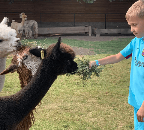 Family-friendly activities