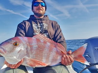 Saint-Laurent-du-Var, 4-Hour Fishing Trip - Housity