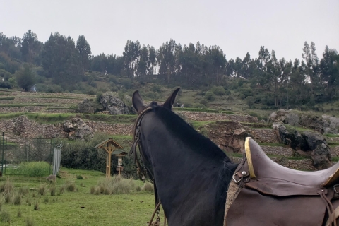 Cusco: excursion d'une journée à cheval dans les temples incas cachés