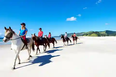 Passeio a cavalo, degustação de vinhos e tour particular de trilhas artísticas