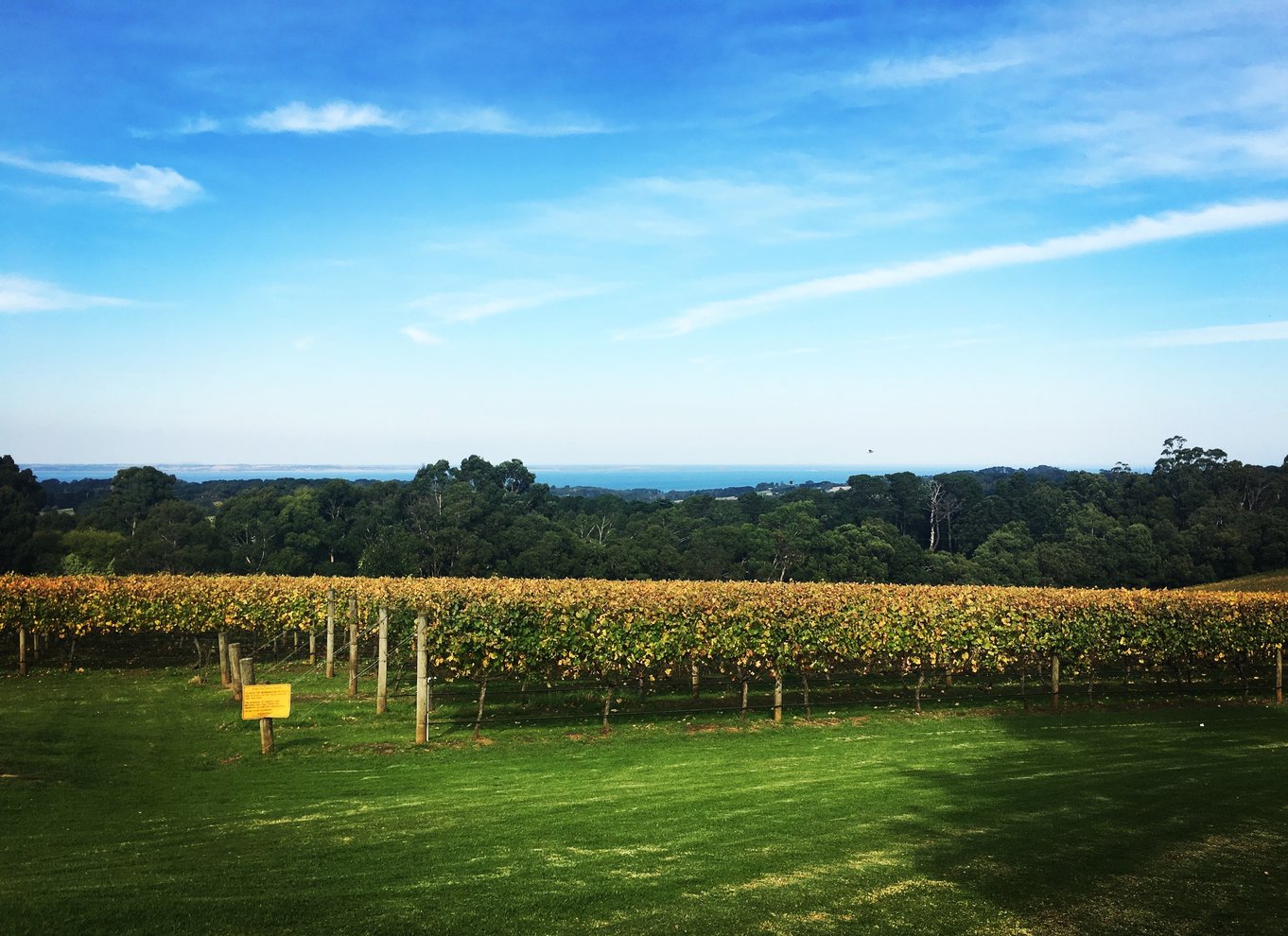 Mornington Peninsula Winery Bustur med frokost og vin